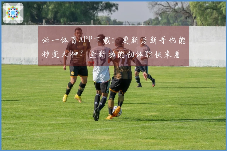 必一体育APP下载：更新后新手也能秒变大神？全新功能初体验快来看看